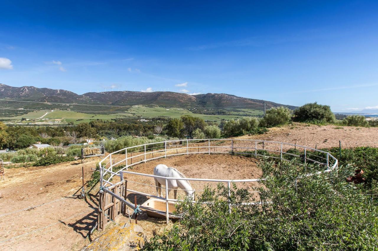 타리파 Casita Rural En Centro De Hipica 아파트 외부 사진