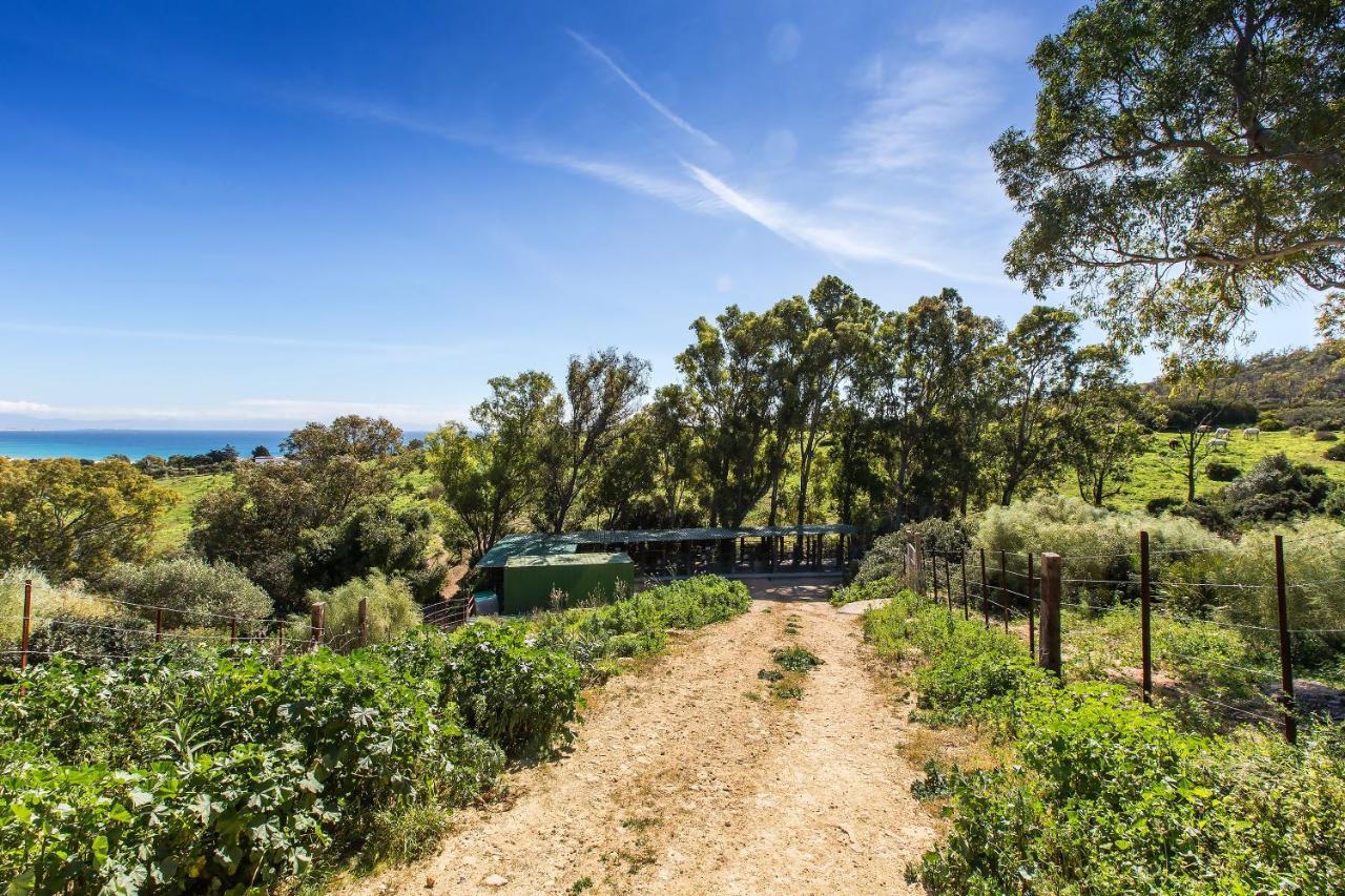 타리파 Casita Rural En Centro De Hipica 아파트 외부 사진