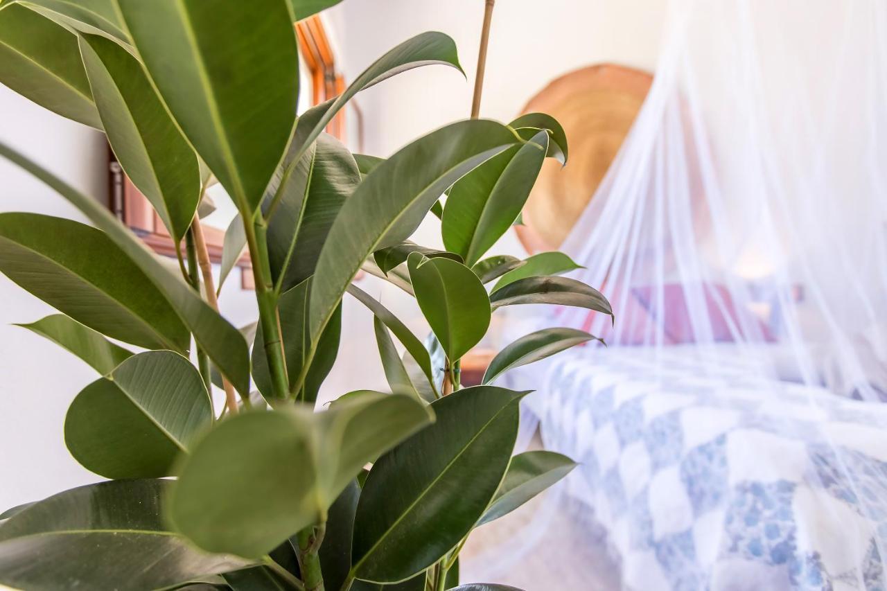 타리파 Casita Rural En Centro De Hipica 아파트 외부 사진