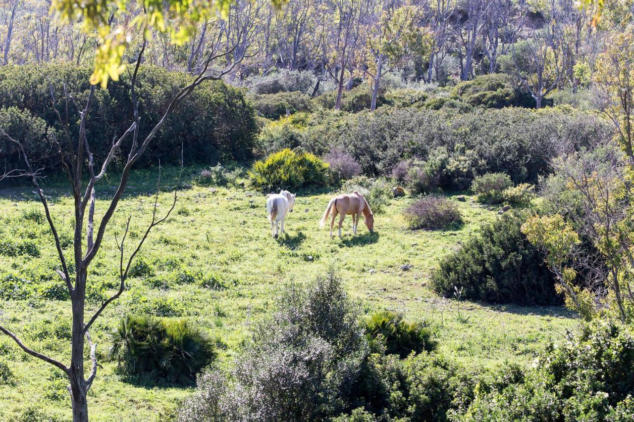 타리파 Casita Rural En Centro De Hipica 아파트 외부 사진